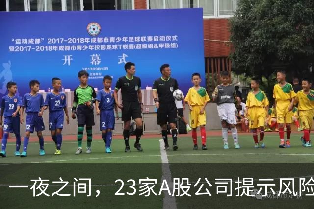 一夜之间，23家A股公司提示风险