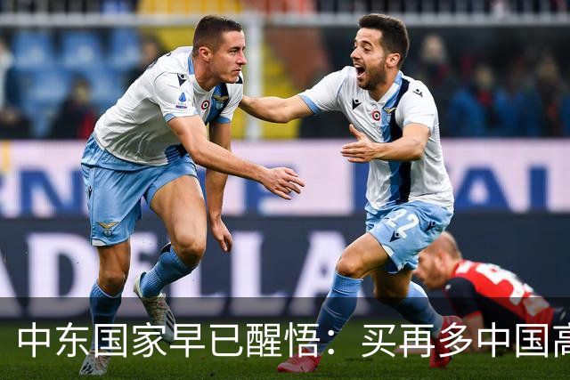 中东国家早已醒悟：买再多中国高端武器，也换不来真正的安全