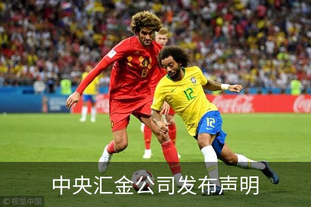 中央汇金公司发布声明