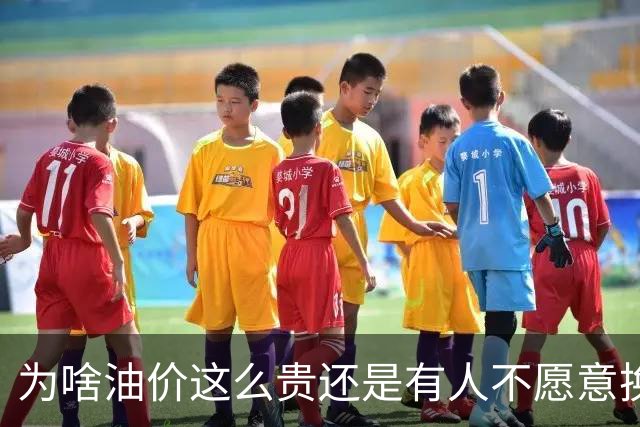 为啥油价这么贵还是有人不愿意换电车?网友：我不开电车的理由，单纯是什么车都买不起