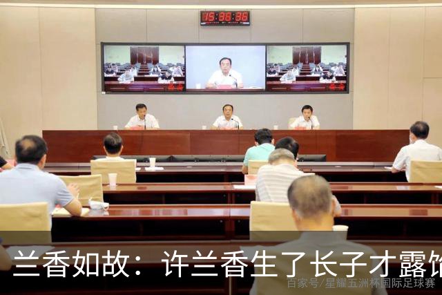 兰香如故：许兰香生了长子才露馅，养母那句“很快就生了”，林锦岐当场愣住，原来她不是亲生的，直接让林锦岐确认她就是沈嘉兰！
