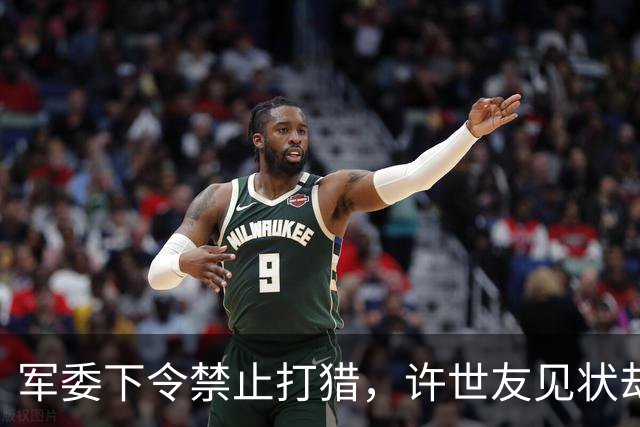 军委下令禁止打猎，许世友见状却在文件上批：打鸟还是可以的