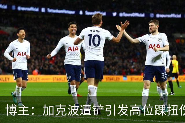 博主：加克波遭铲引发高位踝扭伤担忧，若能避免长期缺阵将很幸运