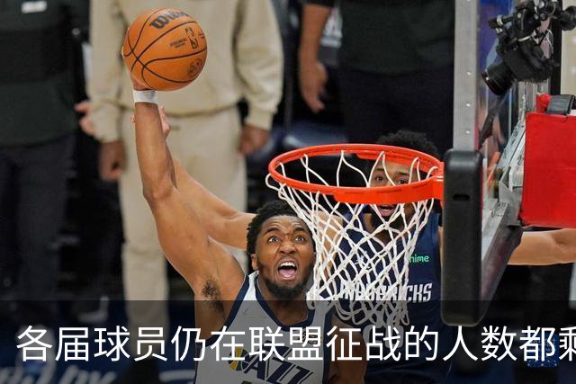 各届球员仍在联盟征战的人数都剩有多少？10届前的合计仅剩10人