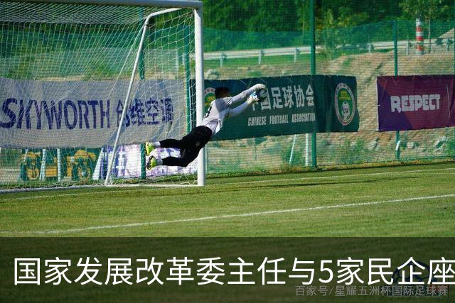 国家发展改革委主任与5家民企座谈：推动民间资本“放心投、投得动、多参与”