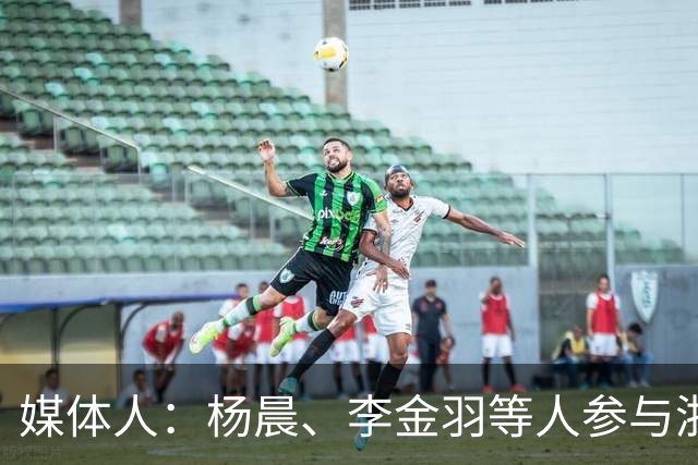 媒体人：杨晨、李金羽等人参与浙江俱乐部总经理竞聘