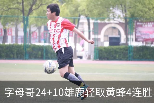 字母哥24+10雄鹿轻取黄蜂4连胜 魔术力克爵士