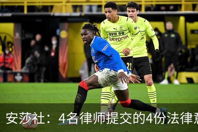 安莎社：4名律师提交的4份法律意见认为马拉戈当选无效