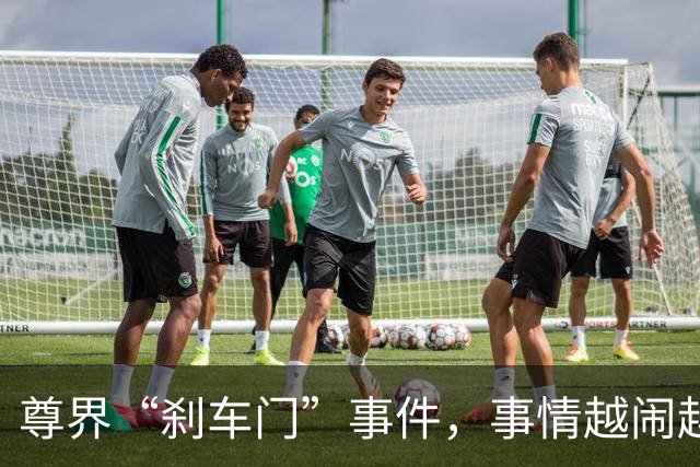 尊界“刹车门”事件，事情越闹越大了……