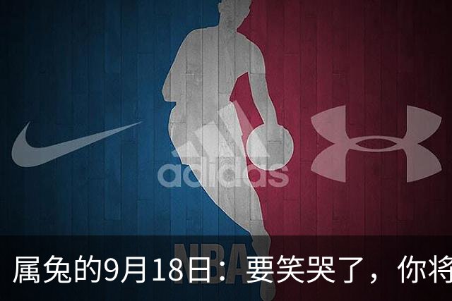属兔的9月18日：要笑哭了，你将会遇见你最大的一位贵人
