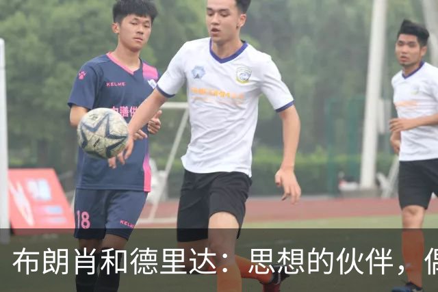 布朗肖和德里达：思想的伙伴，偶然的事件
