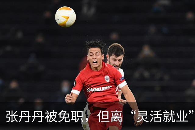 张丹丹被免职，但离“灵活就业”还远着呢