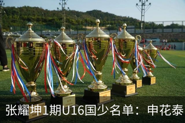 张耀坤1期U16国少名单：申花泰山各4人 吴比乐领衔