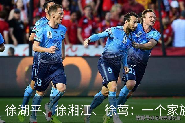 徐湖平、徐湘江、徐莺：一个家族的"两面人"崩塌史