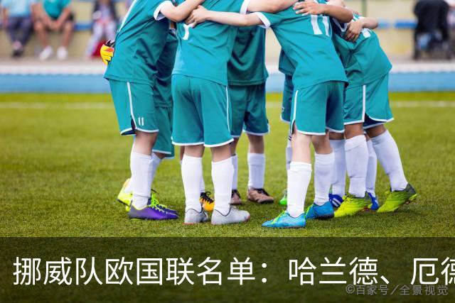 挪威队欧国联名单：哈兰德、厄德高领衔，瑞尔森、努萨在列