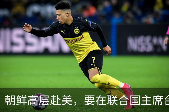 朝鲜高层赴美，要在联合国主席台上，向全球宣告朝鲜打赢翻身仗