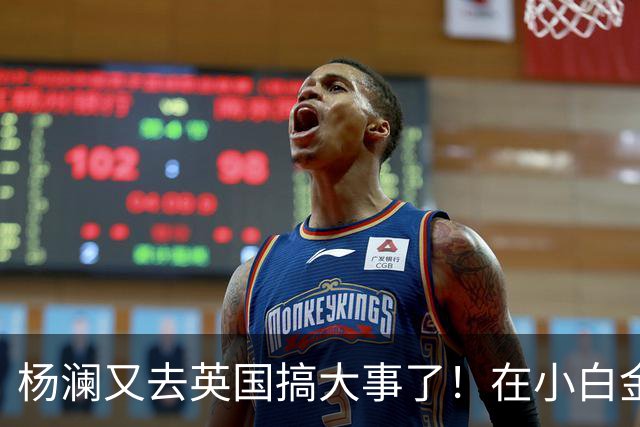 杨澜又去英国搞大事了！在小白金汉宫办中国非遗展，吴征也去了