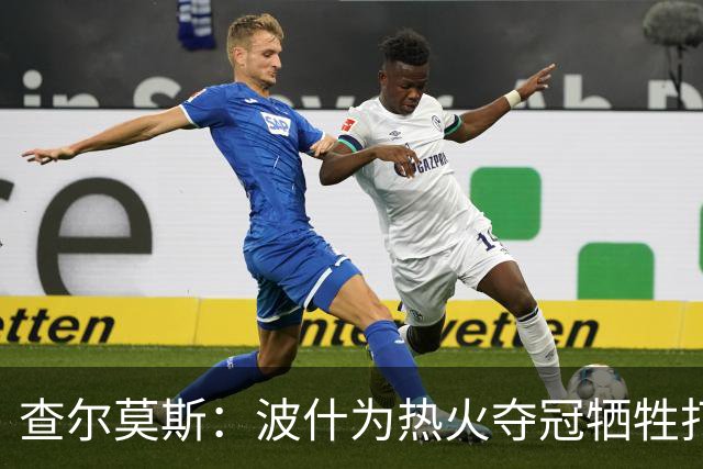 查尔莫斯：波什为热火夺冠牺牲打法，是默默运转的引擎
