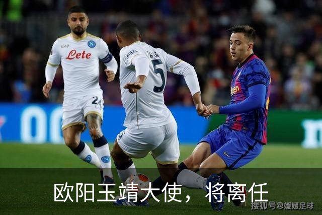 欧阳玉靖大使，将离任
