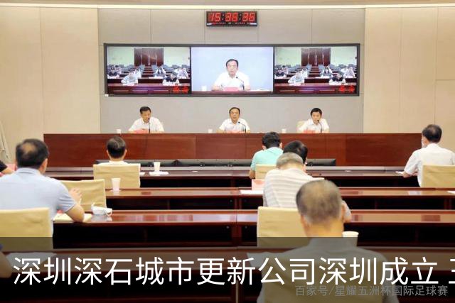 深圳深石城市更新公司深圳成立 王石任董事长