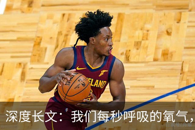 深度长文：我们每秒呼吸的氧气，竟是 24 亿年前的一场灾难！
