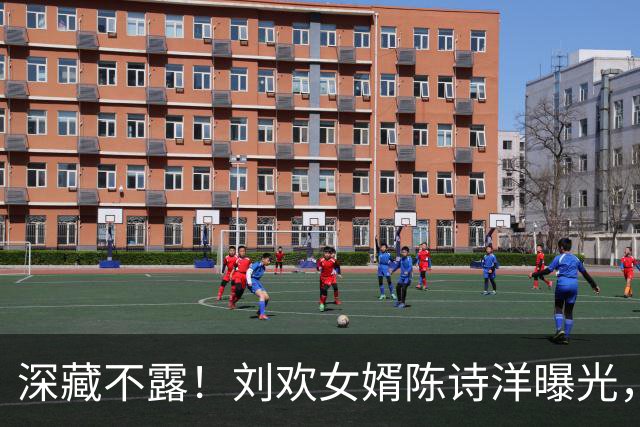 深藏不露！刘欢女婿陈诗洋曝光，哈佛建筑硕士，颜值才华双在线