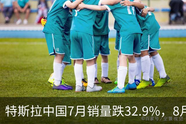 特斯拉中国7月销量跌32.9%，8月再降12.4%，为何卖不动了？