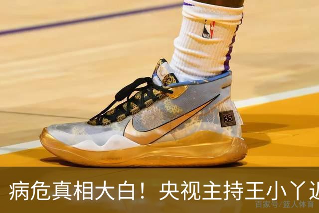 病危真相大白！央视主持王小丫近况曝光，难怪结婚17年仍无儿无女
