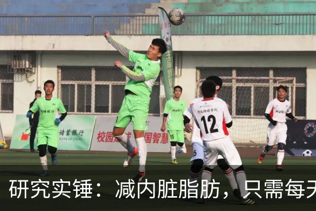 研究实锤：减内脏脂肪，只需每天重复4件事，8周腰围减6-8cm