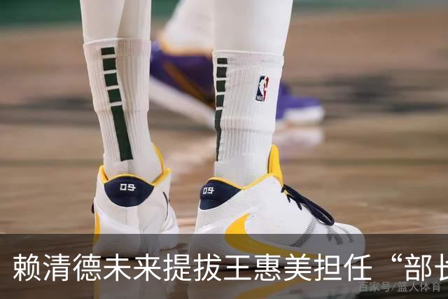 赖清德未来提拔王惠美担任“部长”的可能性有多大？