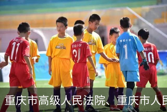 重庆市高级人民法院、重庆市人民检察院、重庆市公安局发布通告