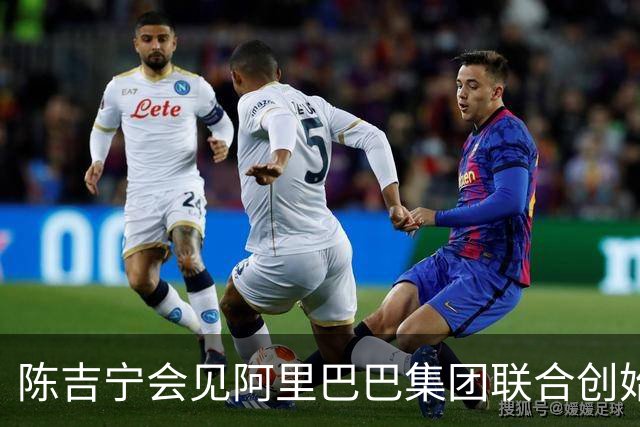 陈吉宁会见阿里巴巴集团联合创始人蔡崇信等亚洲企业领袖协会会员代表