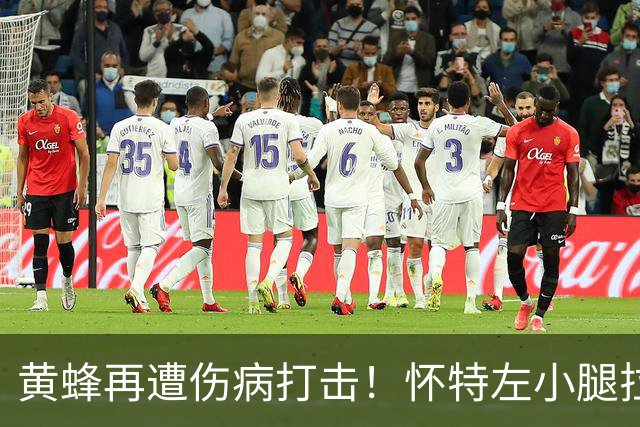 黄蜂再遭伤病打击！怀特左小腿拉伤季前赛报销 克努佩尔格威也伤停