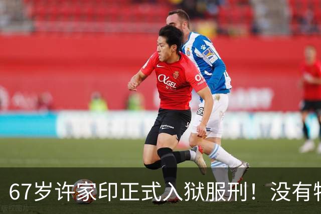 67岁许家印正式入狱服刑！没有特殊照顾只有从严监管：基本不会减刑
