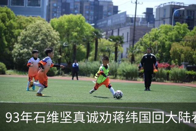 93年石维坚真诚劝蒋纬国回大陆看看，却遭拒绝：他说一旦回去就再也不会回来！