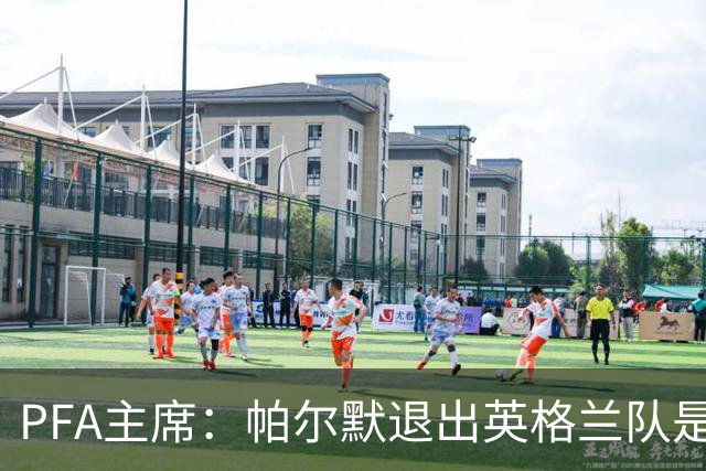 PFA主席：帕尔默退出英格兰队是因密集赛程，这是个病态的体系
